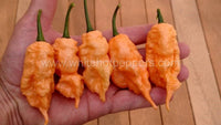 Jay's Peach Ghost Scorpion - Pepper Seeds - White Hot Peppers